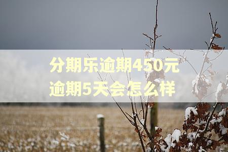分期乐逾期450元逾期5天会怎么样