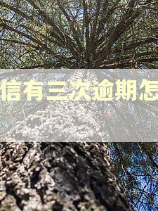 征信有三次逾期怎么办