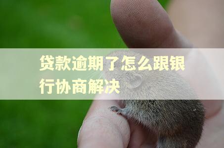 贷款逾期了怎么跟银行协商解决