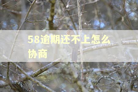 58逾期还不上怎么协商