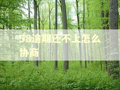58逾期还不上怎么协商