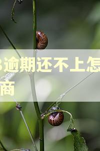 58逾期还不上怎么协商 58逾期还不上怎么协商
