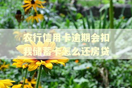 农行信用卡逾期会扣我储蓄卡怎么还房贷