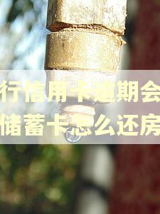农行信用卡逾期会扣我储蓄卡怎么还房贷 农行信用卡逾期会扣我储蓄卡怎么还房贷
