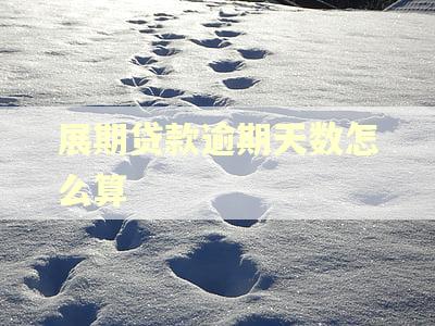 展期贷款逾期天数怎么算