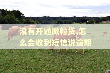 没有开通微粒贷,怎么会收到短信说逾期