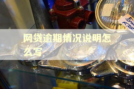 网贷逾期情况说明怎么写 网贷逾期情况说明怎么写