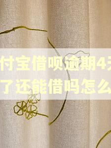 支付宝借呗逾期4天还了还能借吗怎么办
