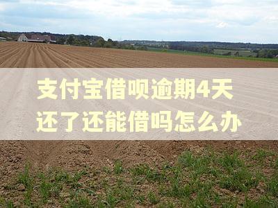 支付宝借呗逾期4天还了还能借吗怎么办