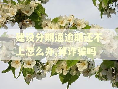 建设分期通逾期还不上怎么办,算诈骗吗