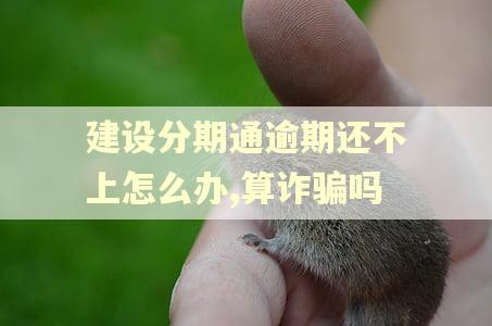 建设分期通逾期还不上怎么办,算诈骗吗
