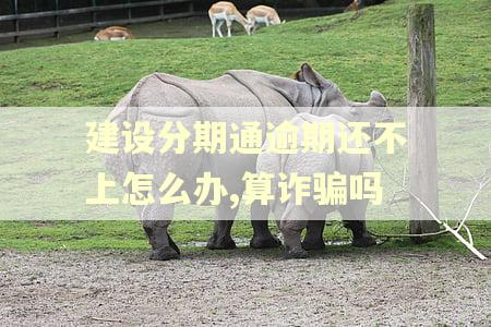 建设分期通逾期还不上怎么办,算诈骗吗