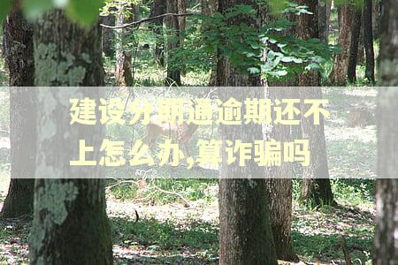 建设分期通逾期还不上怎么办,算诈骗吗 建设分期通逾期还不上怎么办,算诈骗吗