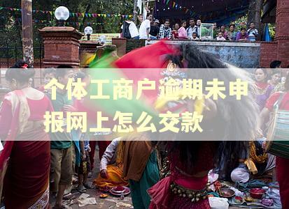 个体工商户逾期未申报网上怎么交款