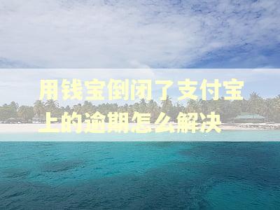 用钱宝倒闭了支付宝上的逾期怎么解决