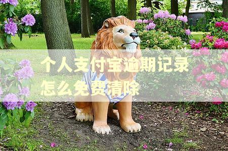 个人支付宝逾期记录怎么免费清除