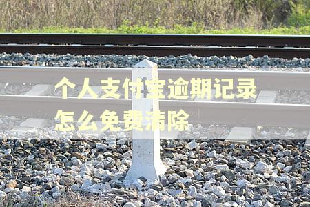 个人支付宝逾期记录怎么免费清除