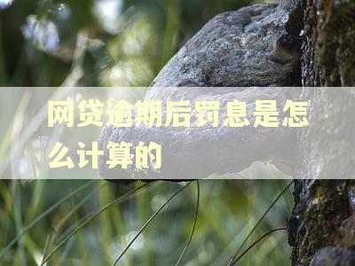 网贷逾期后罚息是怎么计算的