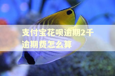 支付宝花呗逾期2千逾期费怎么算