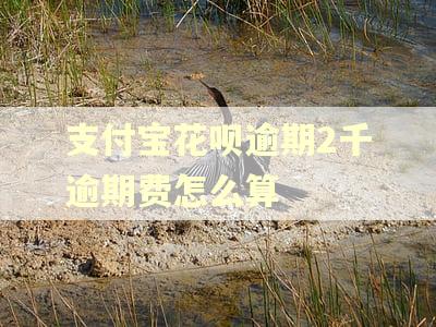 支付宝花呗逾期2千逾期费怎么算