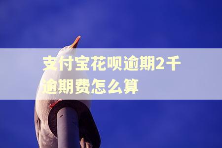 支付宝花呗逾期2千逾期费怎么算