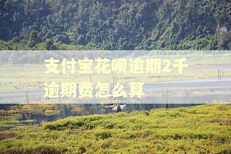 支付宝花呗逾期2千逾期费怎么算