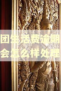 美团生活费逾期15天会怎么样处理