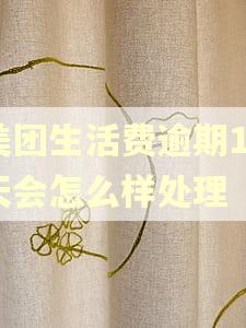 美团生活费逾期15天会怎么样处理