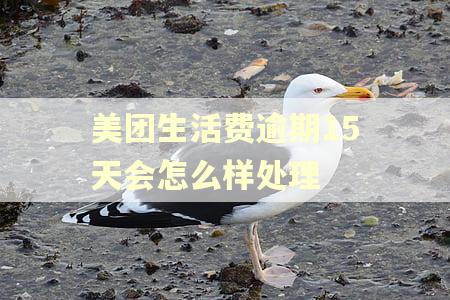 美团生活费逾期15天会怎么样处理