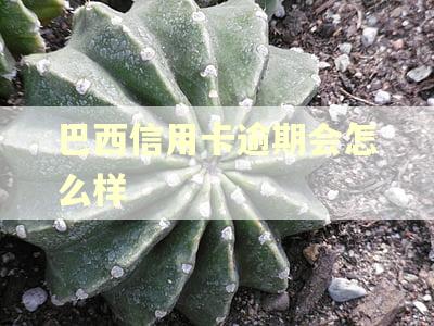 巴西信用卡逾期会怎么样 巴西信用卡逾期会怎么样