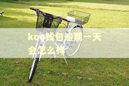 koo钱包逾期一天会怎么样