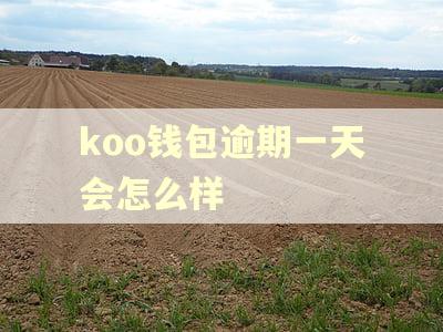 koo钱包逾期一天会怎么样