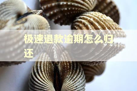 极速退款逾期怎么归还