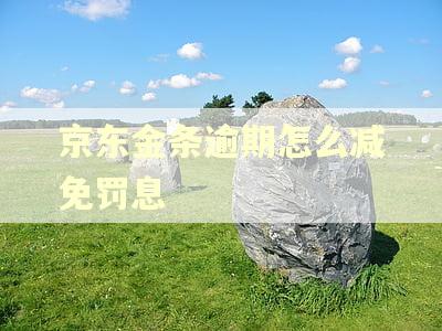 京东金条逾期怎么减免罚息 京东金条逾期怎么减免罚息