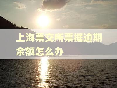 上海票交所票据逾期余额怎么办