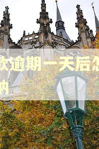 税款逾期一天后怎么缴纳
