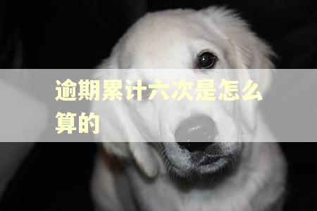 逾期累计六次是怎么算的