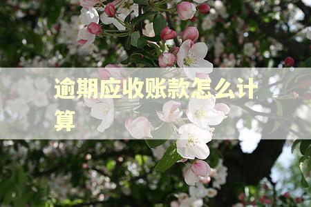 逾期应收账款怎么计算
