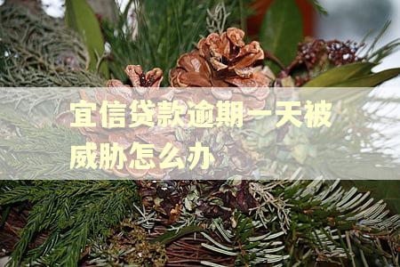 宜信贷款逾期一天被威胁怎么办