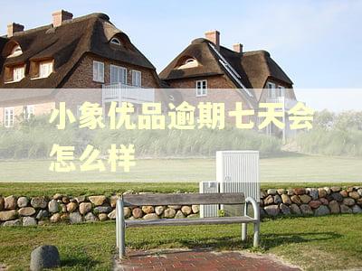 小象优品逾期七天会怎么样
