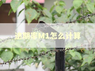 逾期率M1怎么计算