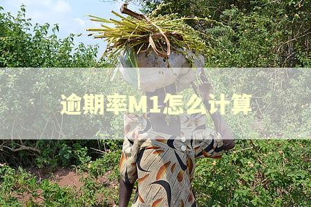 逾期率M1怎么计算