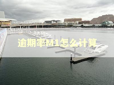 逾期率M1怎么计算