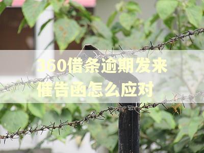 360借条逾期发来催告函怎么应对