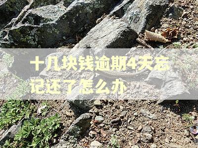 十几块钱逾期4天忘记还了怎么办