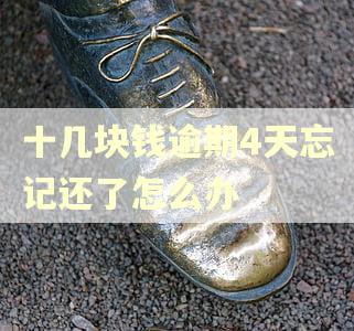 十几块钱逾期4天忘记还了怎么办