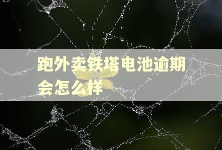 跑外卖铁塔电池逾期会怎么样