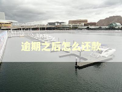 逾期之后怎么还款