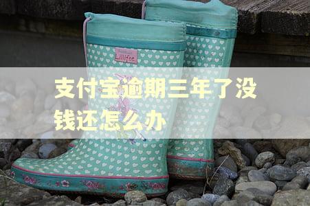 支付宝逾期三年了没钱还怎么办