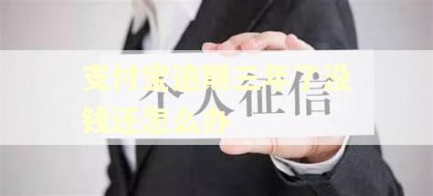 支付宝逾期三年了没钱还怎么办